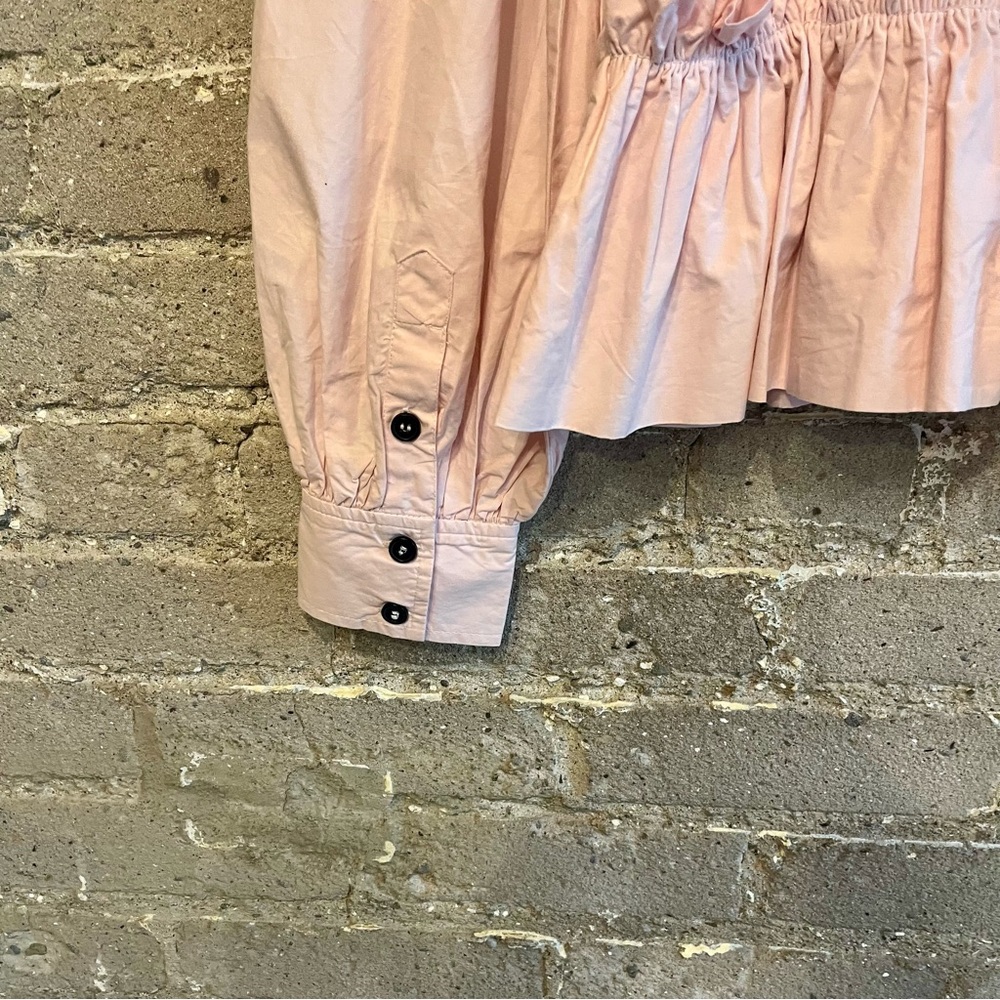 Ganni Pink Ruffled Blouse - Picture 6 of 13